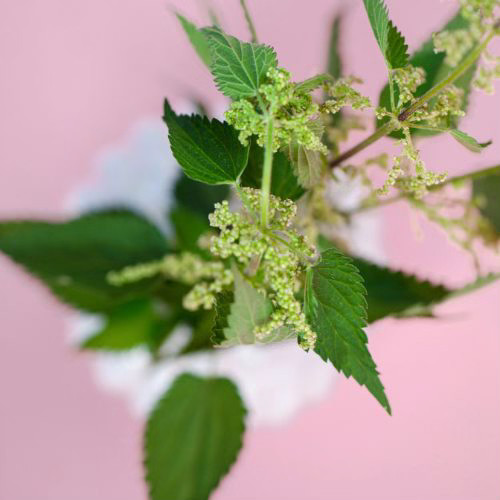 Bild von Julia Lubasch