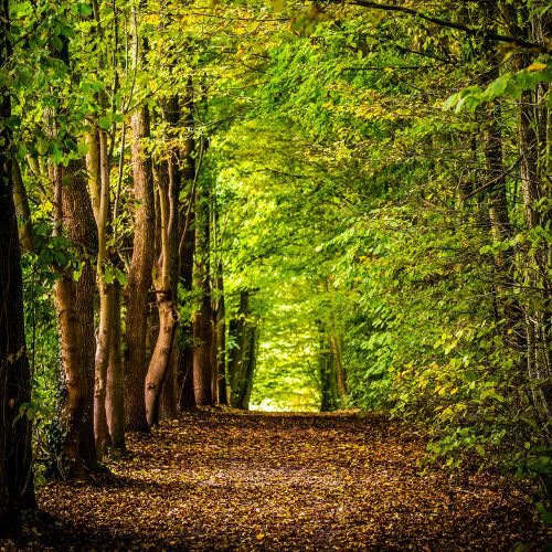 Bild von Julia Lubasch